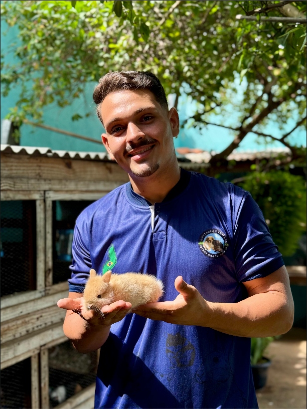 Cuidado com Porquinho